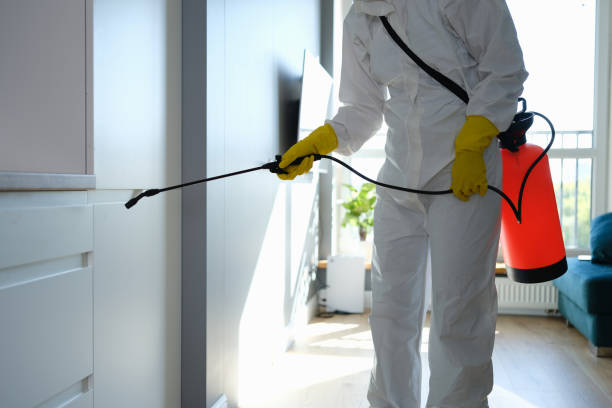 Mold Testing and Removal in Mammoth Spring, AR