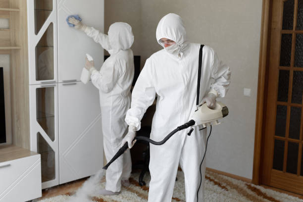 Best Commercial Mold Removal  in Mammoth Spring, AR