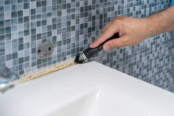 Trusted Mammoth Spring, AR Mold Removal Experts